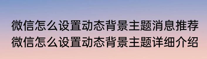 微信怎么设置动态背景主题消息推荐 微信怎么设置动态背景主题详细介绍