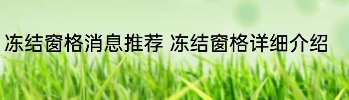 冻结窗格消息推荐 冻结窗格详细介绍