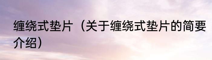 缠绕式垫片（关于缠绕式垫片的简要介绍）