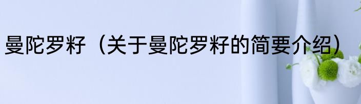 曼陀罗籽（关于曼陀罗籽的简要介绍）
