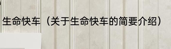 生命快车（关于生命快车的简要介绍）