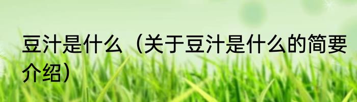 豆汁是什么（关于豆汁是什么的简要介绍）