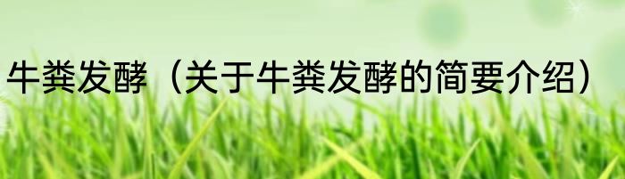 牛粪发酵（关于牛粪发酵的简要介绍）