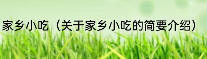 家乡小吃（关于家乡小吃的简要介绍）