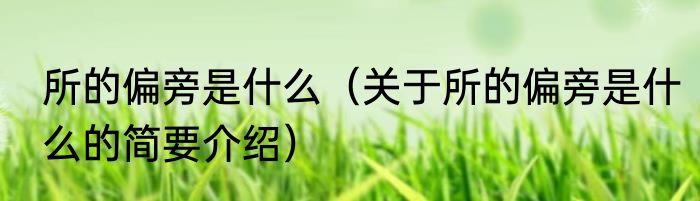 所的偏旁是什么(关于所的偏旁是什么的简要介绍)