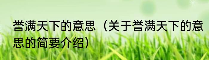 誉满天下的意思(关于誉满天下的意思的简要介绍)