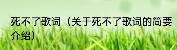 死不了歌词（关于死不了歌词的简要介绍）