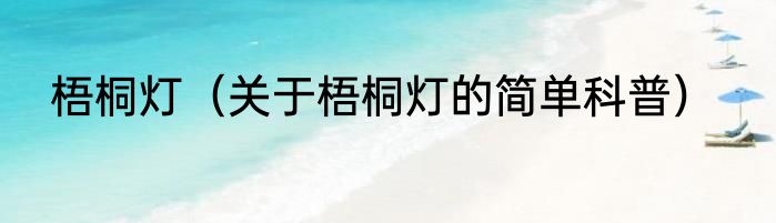 梧桐灯（关于梧桐灯的简单科普）