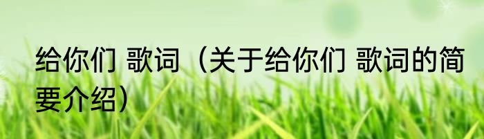 给你们 歌词（关于给你们 歌词的简要介绍）