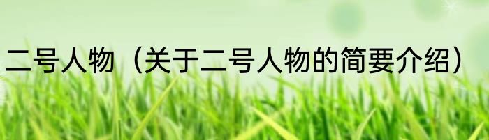 二号人物（关于二号人物的简要介绍）
