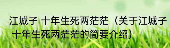 江城子 十年生死两茫茫（关于江城子 十年生死两茫茫的简要介绍）