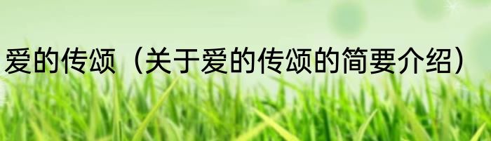 爱的传颂（关于爱的传颂的简要介绍）