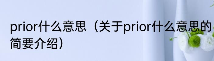 prior什么意思（关于prior什么意思的简要介绍）