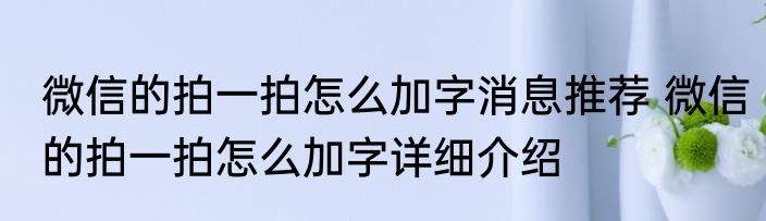 微信的拍一拍怎么加字消息推荐 微信的拍一拍怎么加字详细介绍