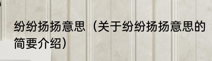 纷纷扬扬意思（关于纷纷扬扬意思的简要介绍）
