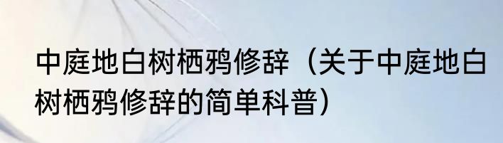 中庭地白树栖鸦修辞（关于中庭地白树栖鸦修辞的简单科普）