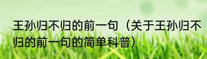 王孙归不归的前一句（关于王孙归不归的前一句的简单科普）