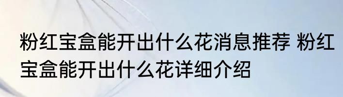 粉红宝盒能开出什么花消息推荐 粉红宝盒能开出什么花详细介绍