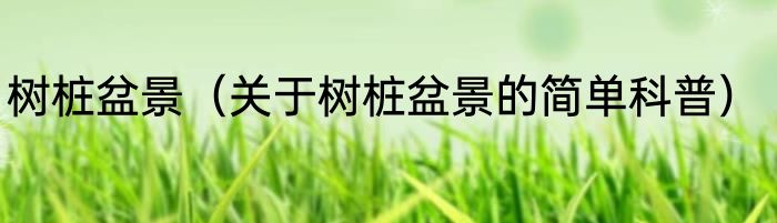 树桩盆景（关于树桩盆景的简单科普）