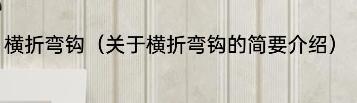 横折弯钩（关于横折弯钩的简要介绍）