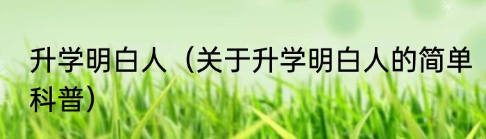 升学明白人（关于升学明白人的简单科普）