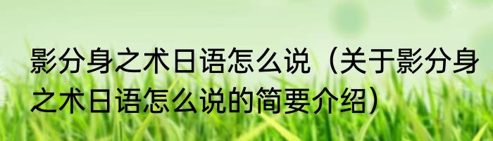 影分身之术日语怎么说（关于影分身之术日语怎么说的简要介绍）