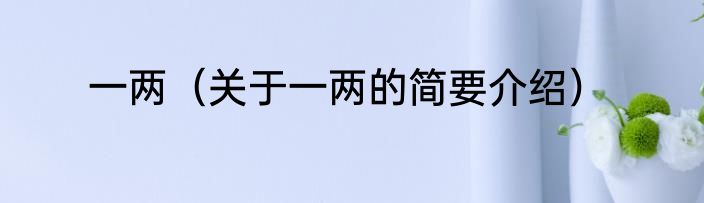 一两（关于一两的简要介绍）