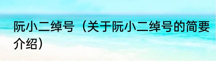阮小二绰号（关于阮小二绰号的简要介绍）