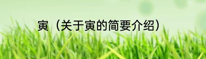 寅（关于寅的简要介绍）