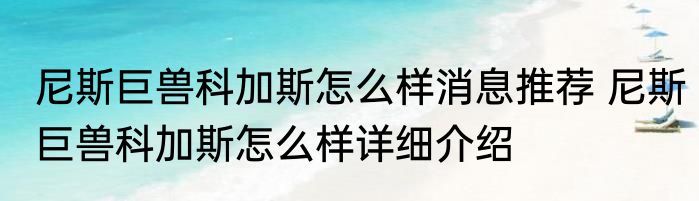 尼斯巨兽科加斯怎么样消息推荐 尼斯巨兽科加斯怎么样详细介绍