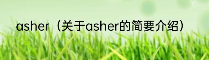 asher（关于asher的简要介绍）