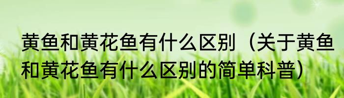 黄鱼和黄花鱼有什么区别（关于黄鱼和黄花鱼有什么区别的简单科普）