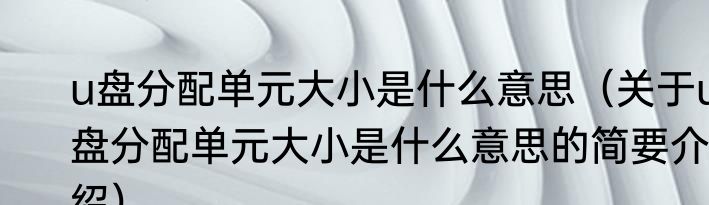 u盘分配单元大小是什么意思（关于u盘分配单元大小是什么意思的简要介绍）