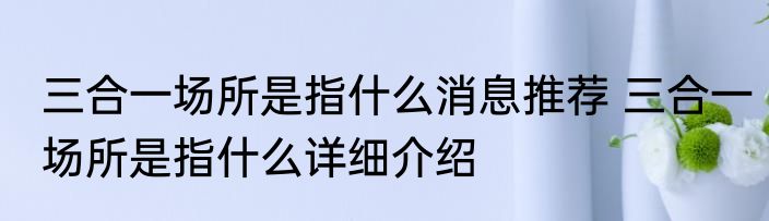 三合一场所是指什么消息推荐 三合一场所是指什么详细介绍