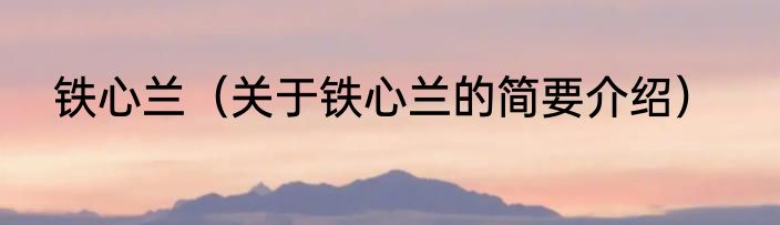铁心兰（关于铁心兰的简要介绍）