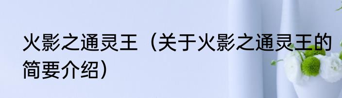 火影之通灵王（关于火影之通灵王的简要介绍）