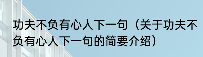 功夫不负有心人下一句（关于功夫不负有心人下一句的简要介绍）