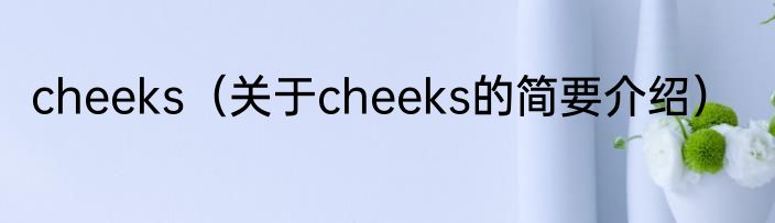 cheeks（关于cheeks的简要介绍）