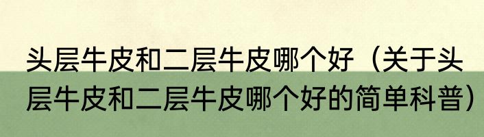 头层牛皮和二层牛皮哪个好（关于头层牛皮和二层牛皮哪个好的简单科普）