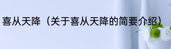 喜从天降（关于喜从天降的简要介绍）