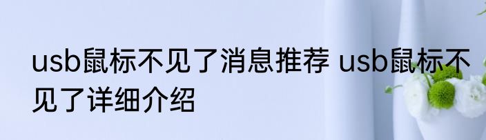 usb鼠标不见了消息推荐 usb鼠标不见了详细介绍