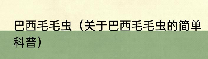 巴西毛毛虫（关于巴西毛毛虫的简单科普）