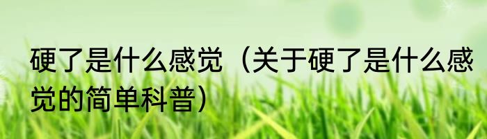 硬了是什么感觉（关于硬了是什么感觉的简单科普）