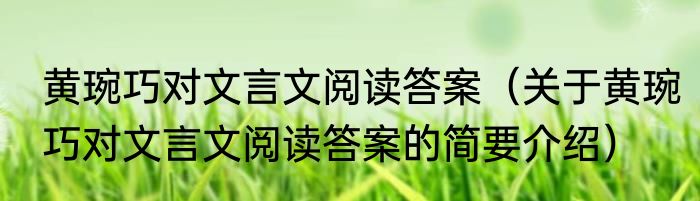 黄琬巧对文言文阅读答案（关于黄琬巧对文言文阅读答案的简要介绍）