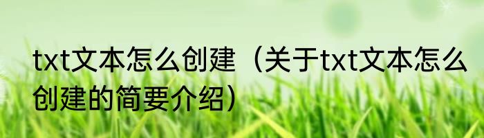 txt文本怎么创建（关于txt文本怎么创建的简要介绍）