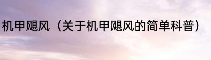 机甲飓风（关于机甲飓风的简单科普）