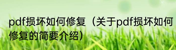 pdf损坏如何修复（关于pdf损坏如何修复的简要介绍）