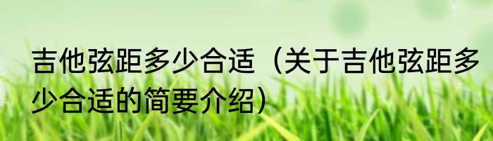 吉他弦距多少合适（关于吉他弦距多少合适的简要介绍）