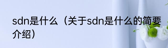 sdn是什么（关于sdn是什么的简要介绍）
