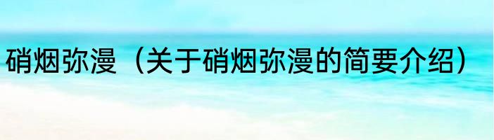 硝烟弥漫（关于硝烟弥漫的简要介绍）